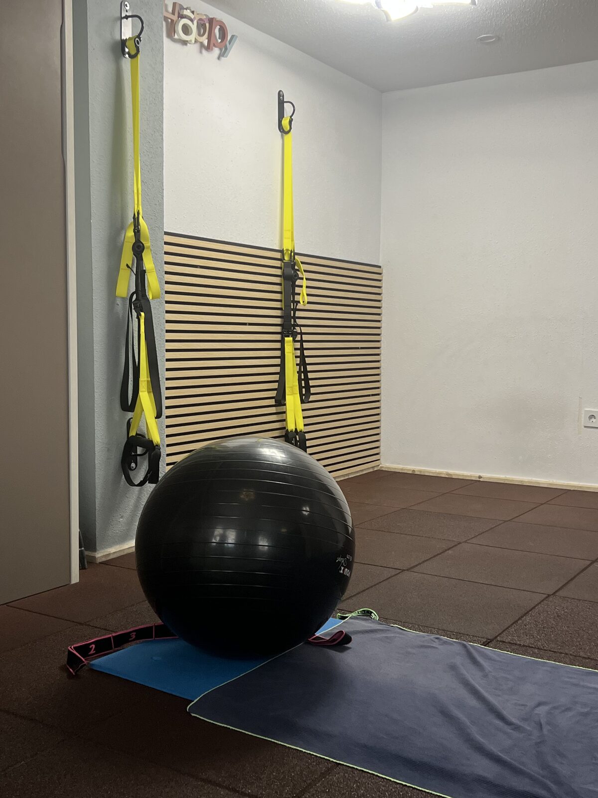 Pelota y aro de pilates