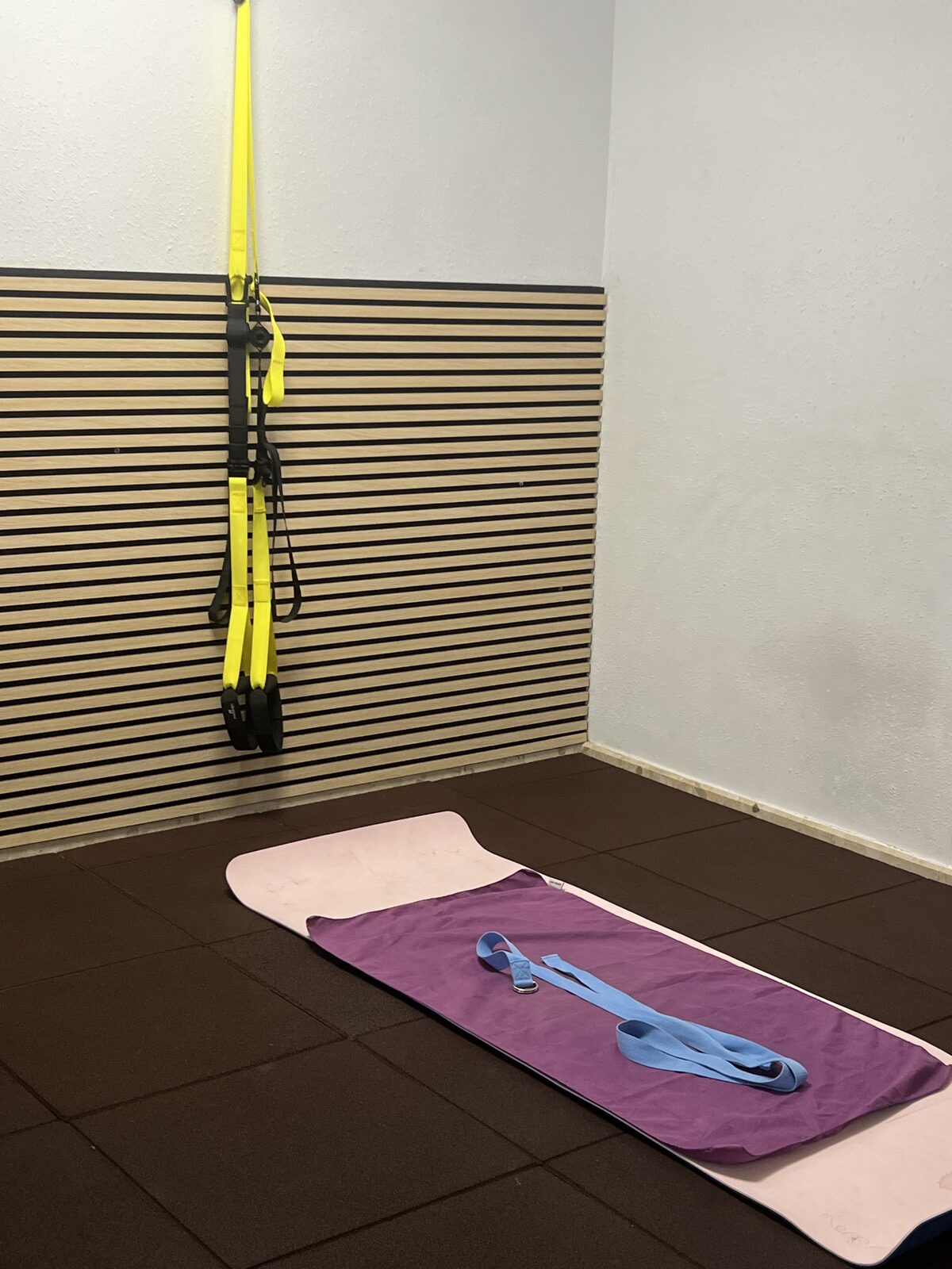 TRX y bandas de pilates
